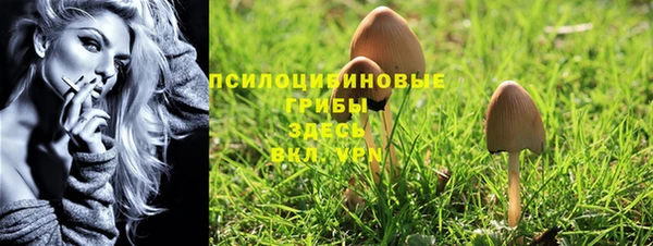 Альфа ПВП Вязники