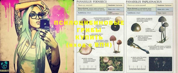 MDMA Вяземский