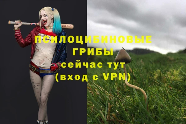 таблы Вязьма