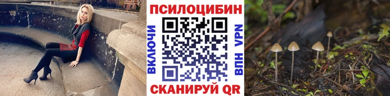 Купить закладки  Куровское  Галлюциногенные грибы ЛСД 